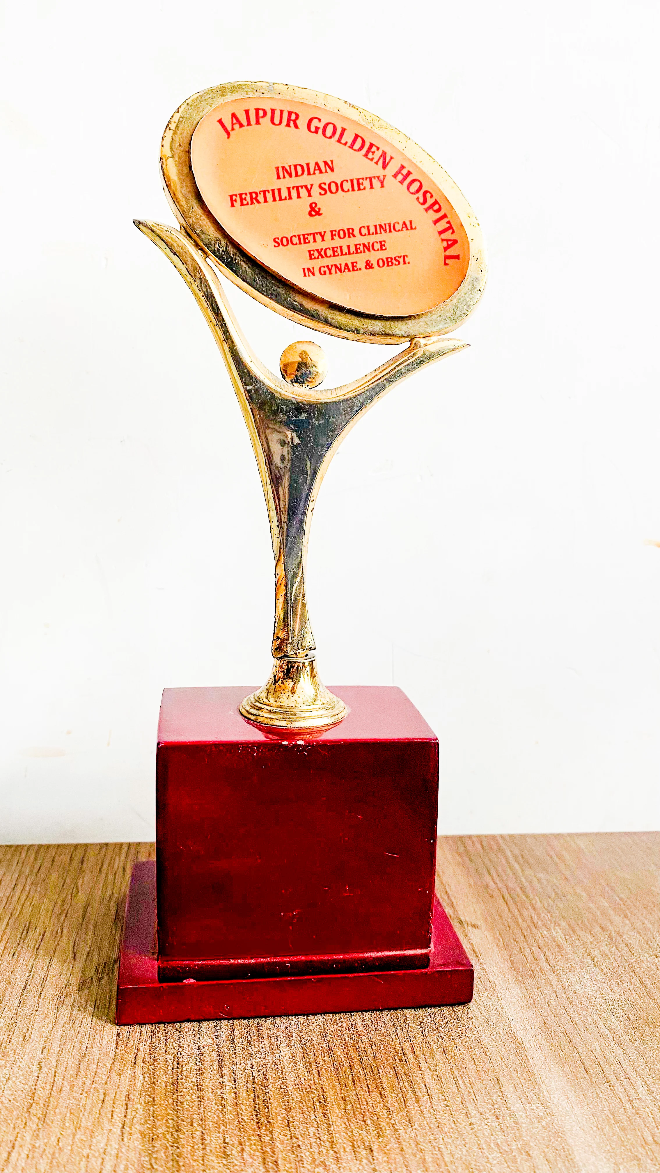 Recognition by Indian Fertility Society (Jaipur Golden Hospital), 2024
