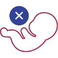 embryo