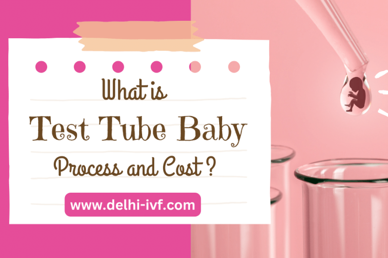 What is Test Tube Baby